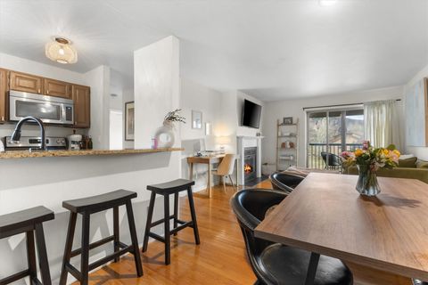 Photo of 1555 Shadow Run Court #309, Steamboat Springs, CO 80487 (MLS # S1067942)