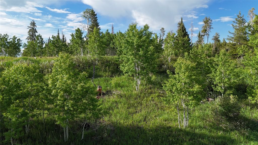 Photo of 32965 Maverick Way, Oak Creek, CO 80467 (MLS # S1066211)