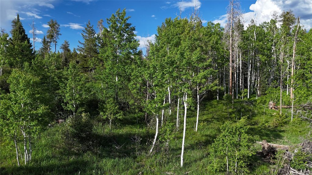 Photo of 32965 Maverick Way, Oak Creek, CO 80467 (MLS # S1066211)