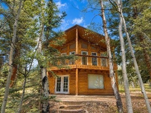 Photo of 38 Grebe Lane, Como, CO 80432 (MLS # S1071276)