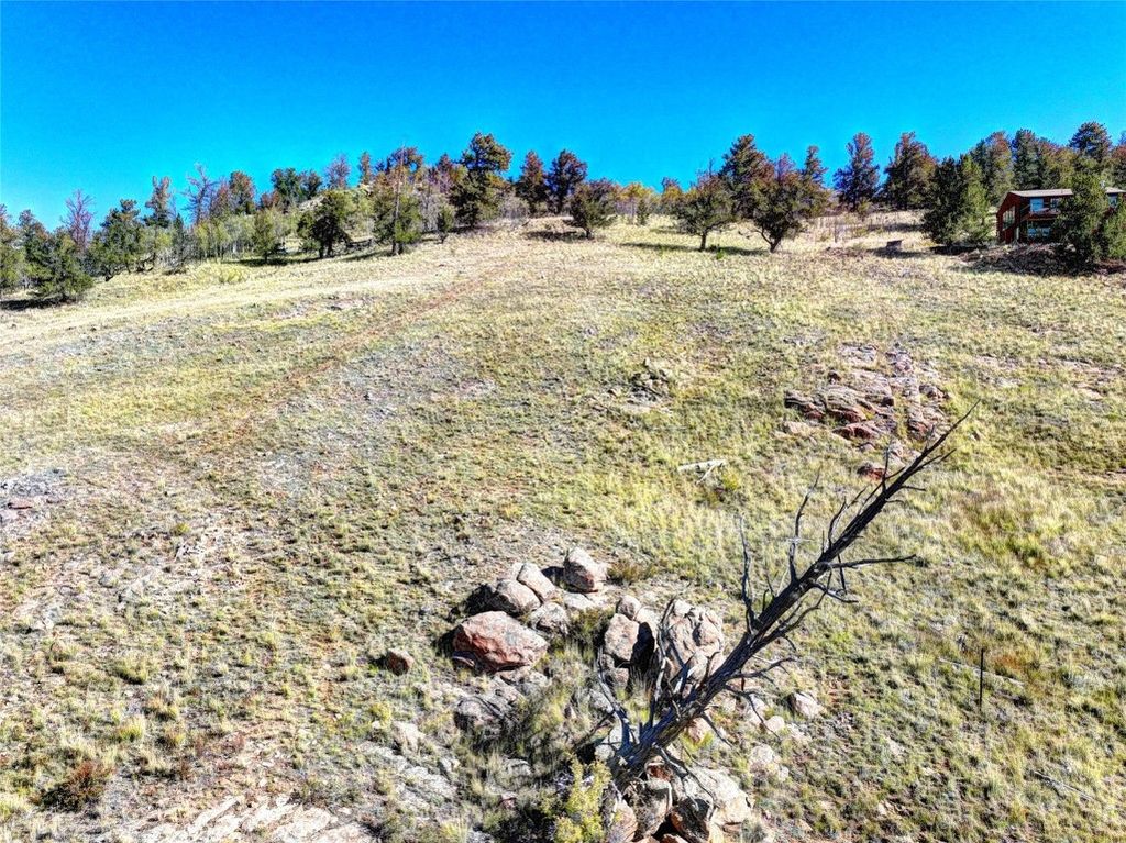 Photo of 343 Chief Trail, Como, CO 80432 (MLS # S1065913)