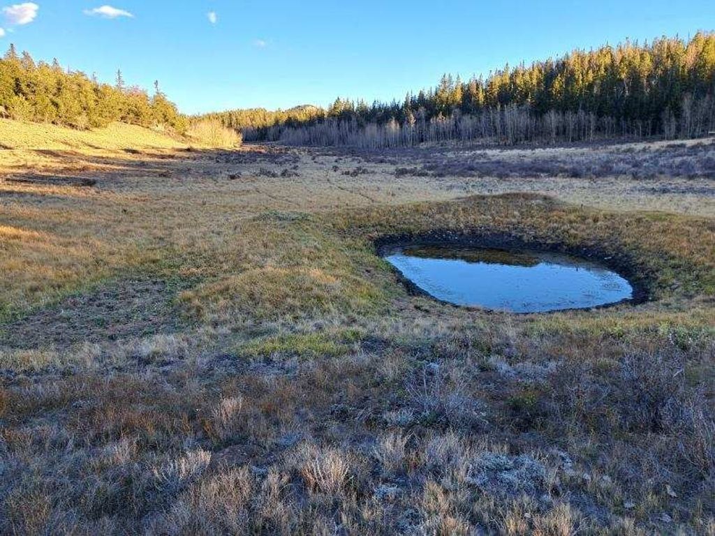 Photo of Haida Lane, Como, CO 80432 (MLS # S1064034)