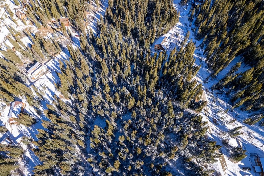 Photo of 387 County Road 674, Breckenridge, CO 80424 (MLS # S1064108)