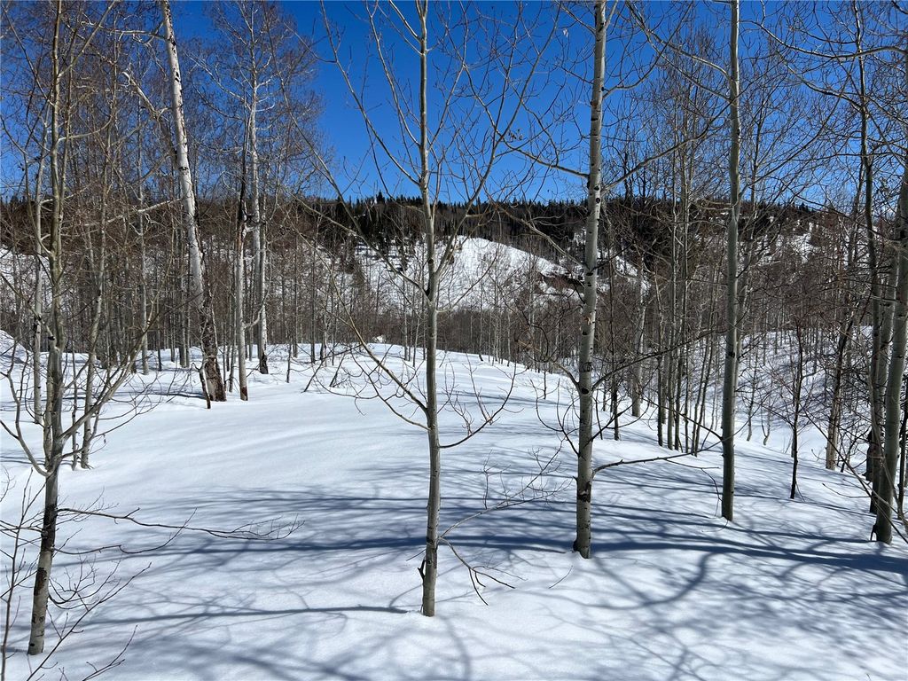 Photo of 26925 Beaver Canyon Drive, Clark, CO 80428 (MLS # S1065998)