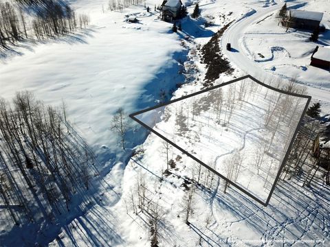 Photo of 26925 Beaver Canyon Drive, Clark, CO 80428 (MLS # S1065998)