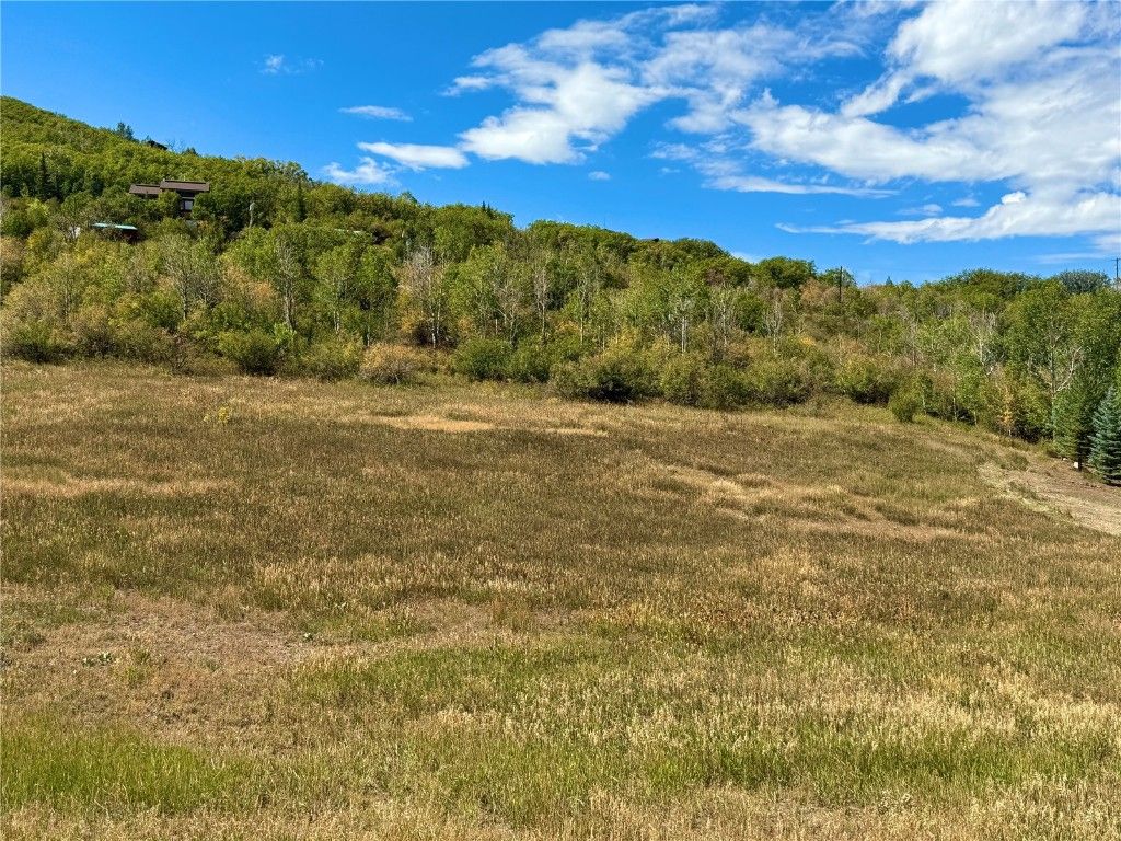 Photo of 44075 County Road 44, Steamboat Springs, CO 80487 (MLS # S1063893)