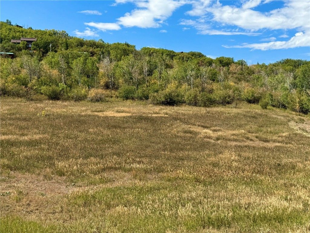 Photo of 44075 County Road 44, Steamboat Springs, CO 80487 (MLS # S1063893)