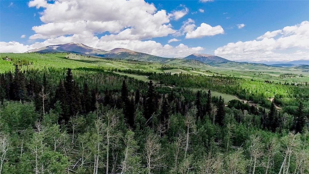 Photo of 1047 Lumberjack Road, Fairplay, CO 80440 (MLS # S1064142)