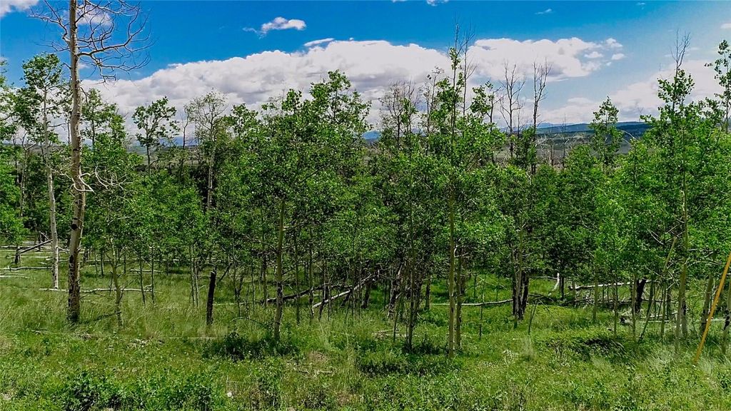 Photo of 1047 Lumberjack Road, Fairplay, CO 80440 (MLS # S1064142)