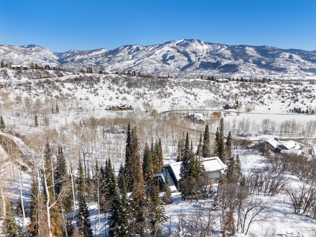 Photo of 31055 Tree Top Lane, Steamboat Springs, CO 80487 (MLS # S1056010)