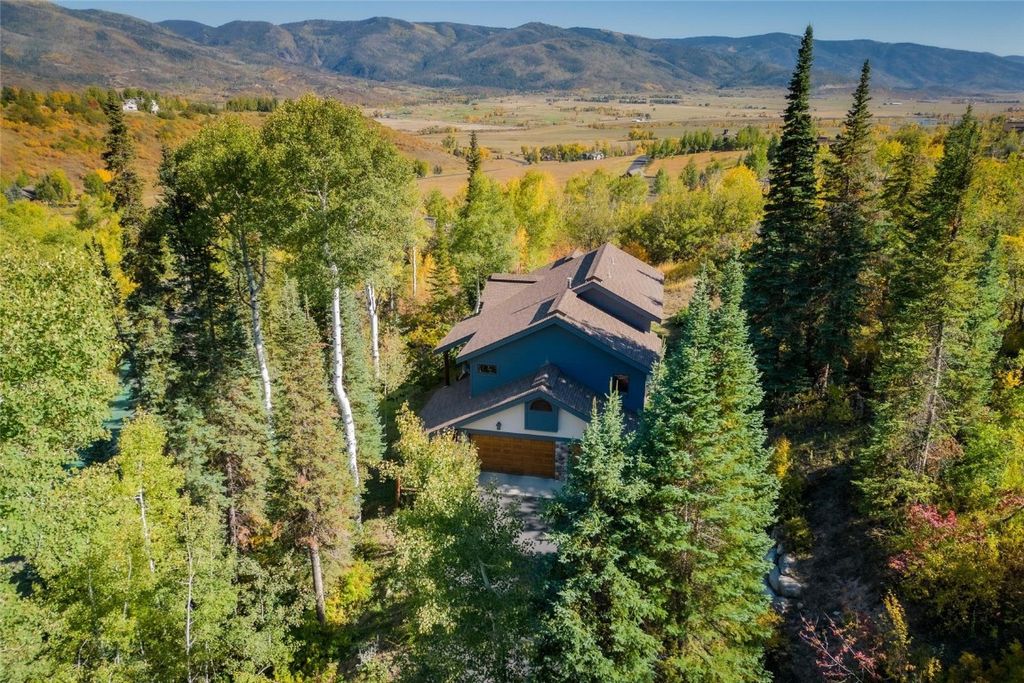 Photo of 31055 Tree Top Lane, Steamboat Springs, CO 80487 (MLS # S1056010)