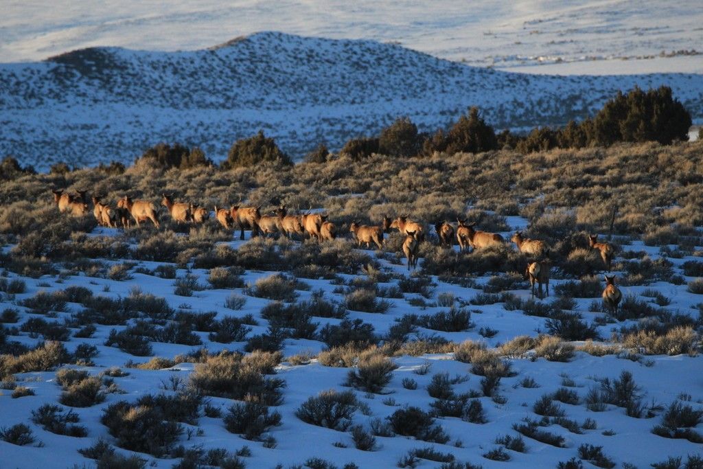 Photo of County Road 53, Maybell, CO 81640 (MLS # S1065830)