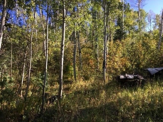 T/B/D RCR 24 ROAD, STEAMBOAT SPRINGS, CO 80487 - Image c86bc4b4ba8b9879fb8cc3f6af8bbba7/975851450