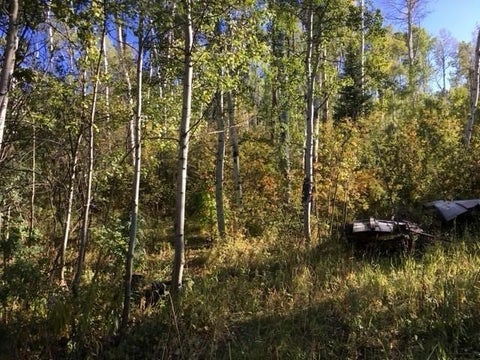 Photo of Rcr 24 Road, Steamboat Springs, CO 80487 (MLS # S1071361)