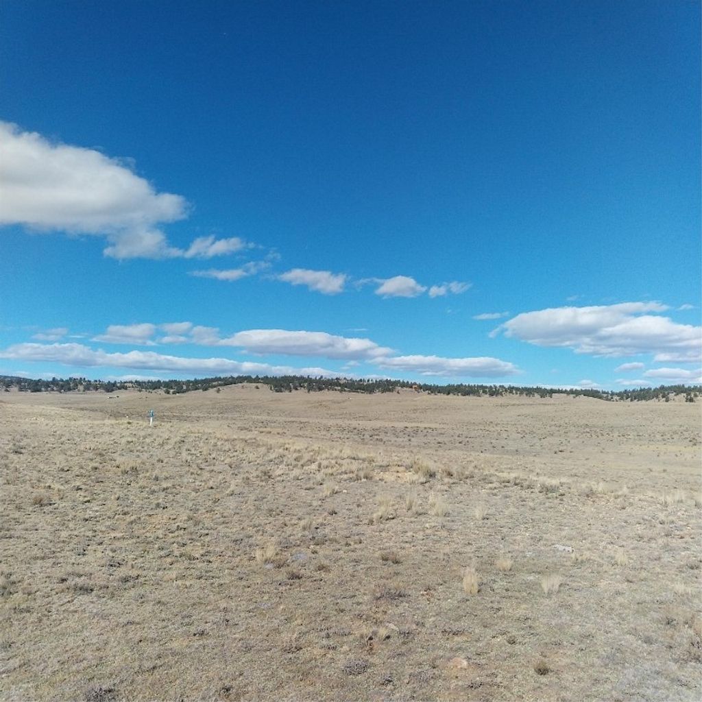 Photo of 3552 Ute Trace Trce, Hartsel, CO 80449 (MLS # S1064294)