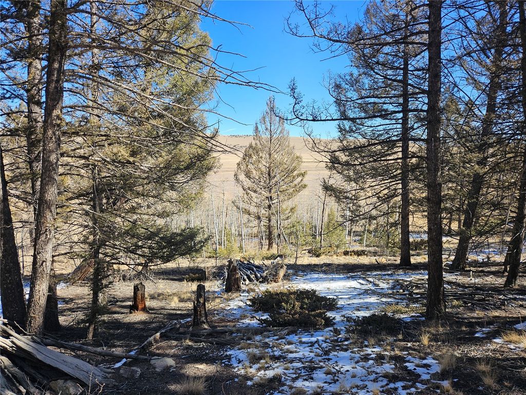 Photo of 1412 Redhill Road, Fairplay, CO 80440 (MLS # S1066285)