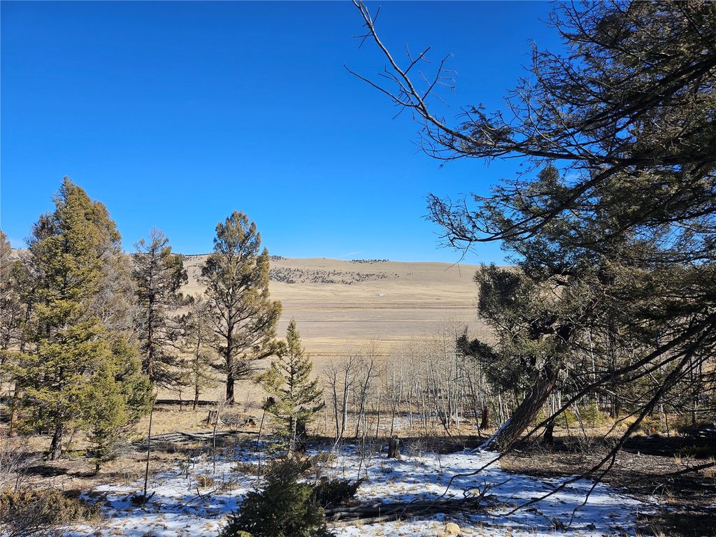 Photo of 1412 Redhill Road, Fairplay, CO 80440 (MLS # S1066285)
