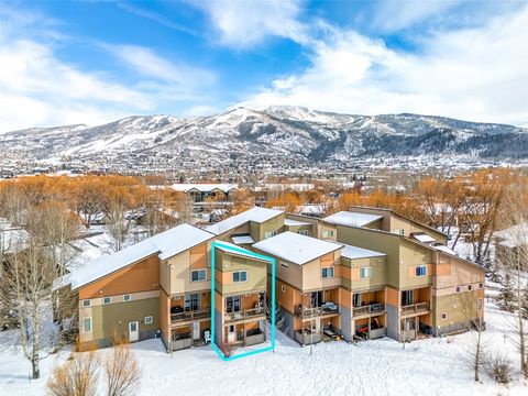 Photo of 833 Weiss Circle, Steamboat Springs, CO 80487 (MLS # S1065862)