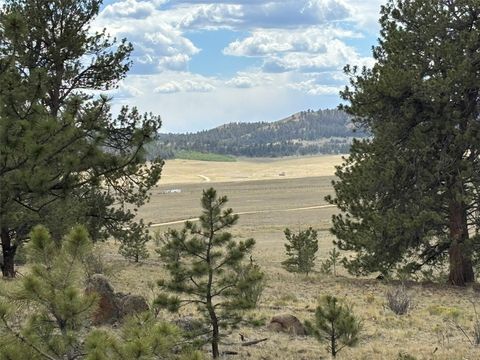 Photo of 99 Arapaho Court, Hartsel, CO 80449 (MLS # S1070368)