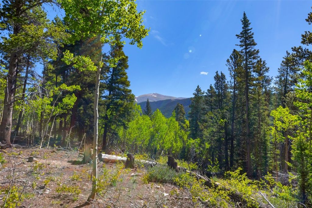 Photo of 715 Lewsader Road, Alma, CO 80420 (MLS # S1064136)
