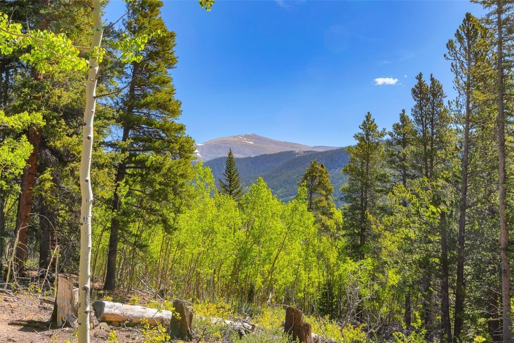 Photo of 715 Lewsader Road, Alma, CO 80420 (MLS # S1064136)