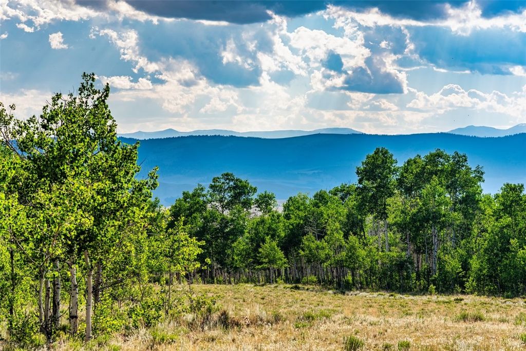 Photo of Night Hawk Circle, Como, CO 80432 (MLS # S1064331)