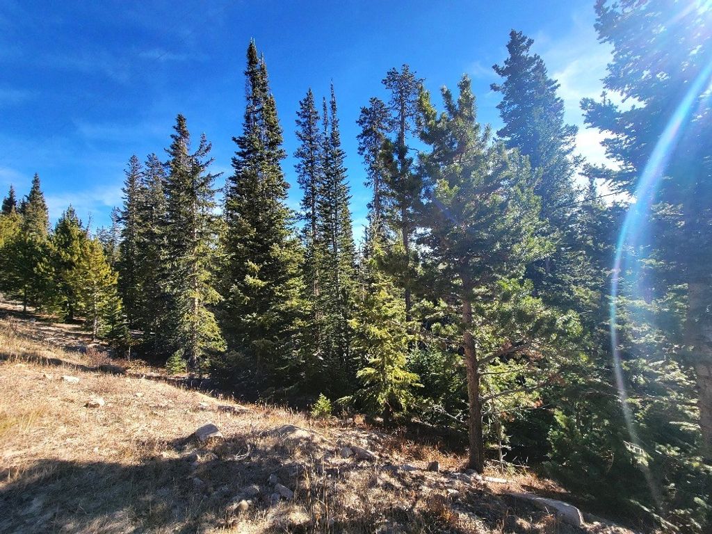 Photo of 1400 Bobcat Lane, Fairplay, CO 80440 (MLS # S1064275)