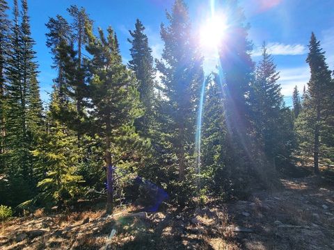 Photo of 1400 Bobcat Lane, Fairplay, CO 80440 (MLS # S1064275)
