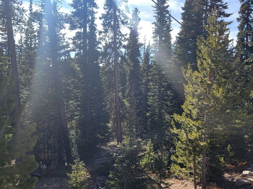 Photo of 1400 Bobcat Lane, Fairplay, CO 80440 (MLS # S1064275)