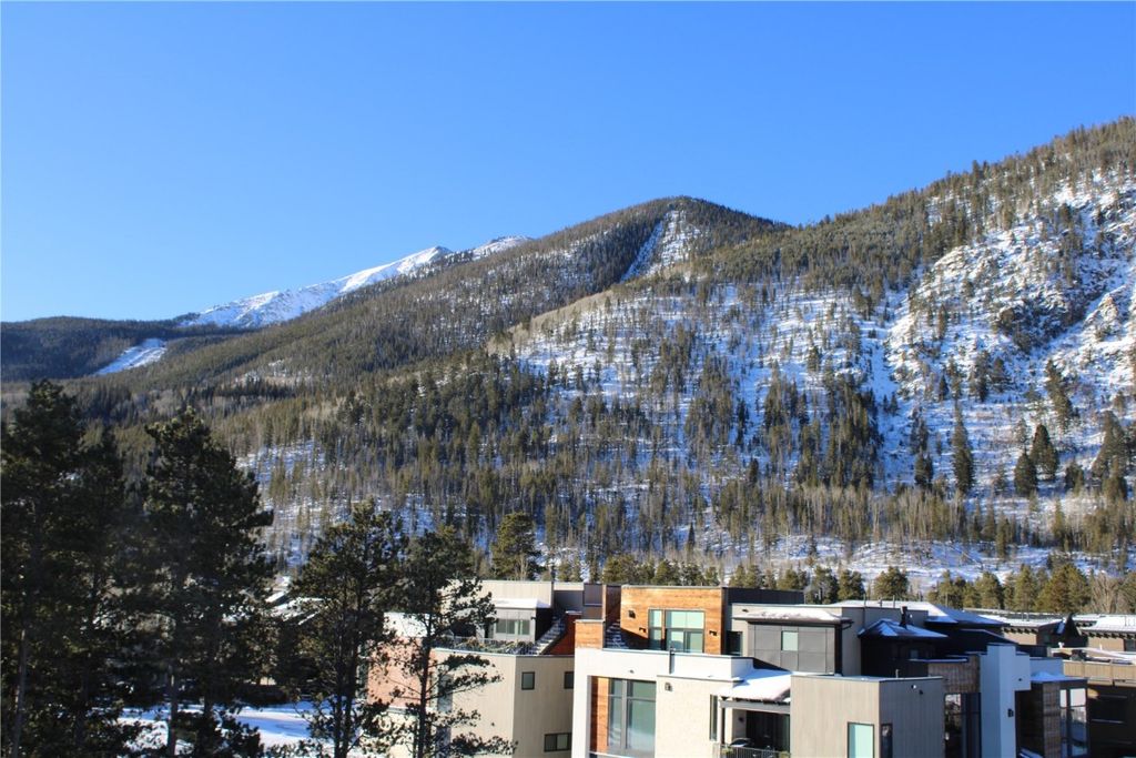 Photo of 302 Teller Street #4, Frisco, CO 80443 (MLS # S1065752)