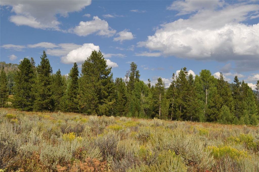 Photo of 60810 Parkside Drive, Clark, CO 80428 (MLS # S1062167)