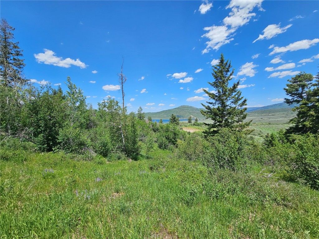 Photo of 6 Youngs Creek Way, Oak Creek, CO 80467 (MLS # S1059895)