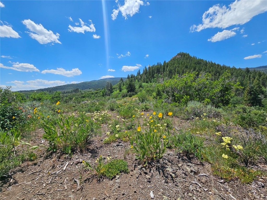 Photo of 6 Youngs Creek Way, Oak Creek, CO 80467 (MLS # S1059895)