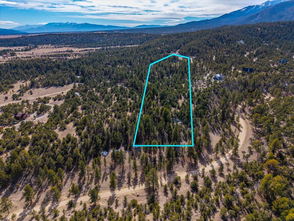 Photo of 21160 Skyline Drive, Nathrop, CO 81236 (MLS # S1066258)