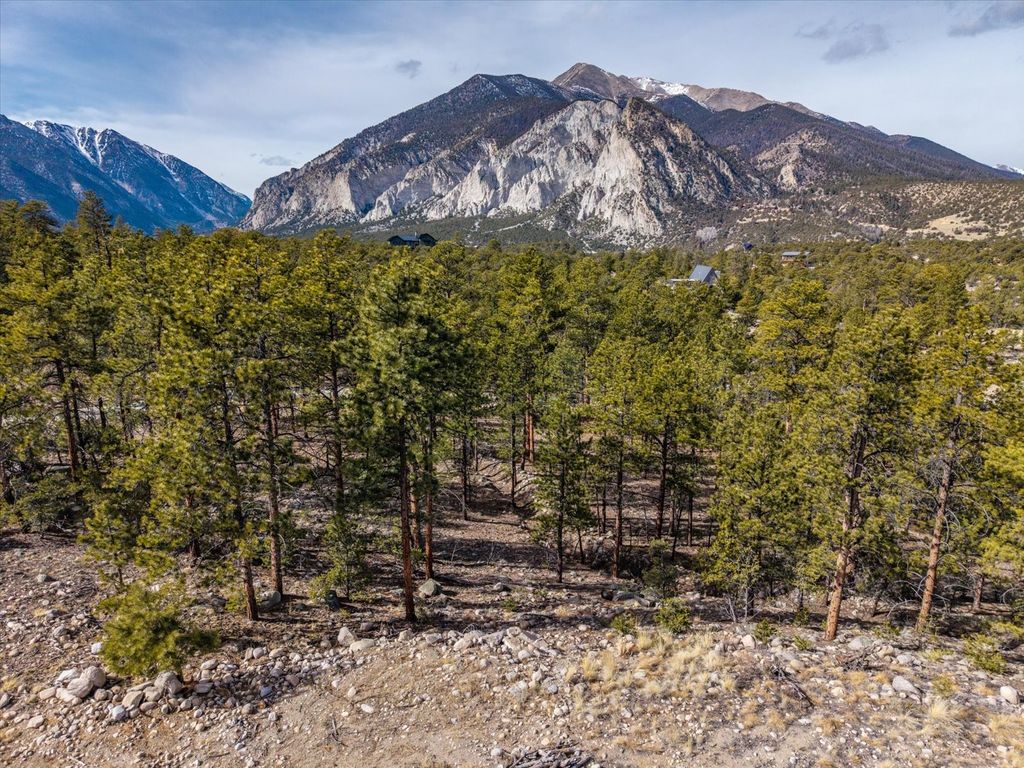 Photo of 21160 Skyline Drive, Nathrop, CO 81236 (MLS # S1066258)