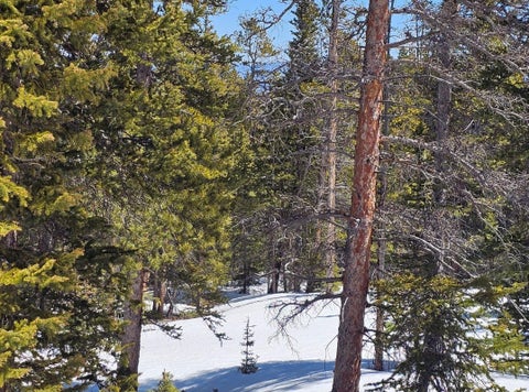 Photo of 318 El Lobo Lane, Fairplay, CO 80440 (MLS # S1071780)