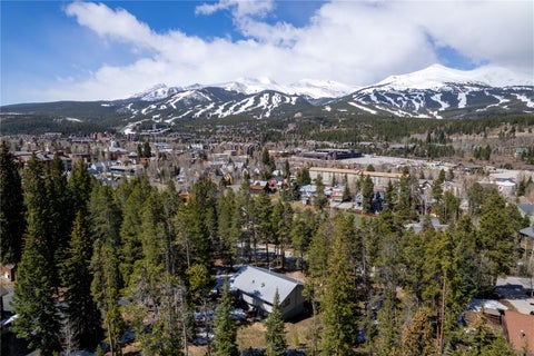 Photo of 212 Briar Rose Lane, Breckenridge, CO 80424 (MLS # S1069686)