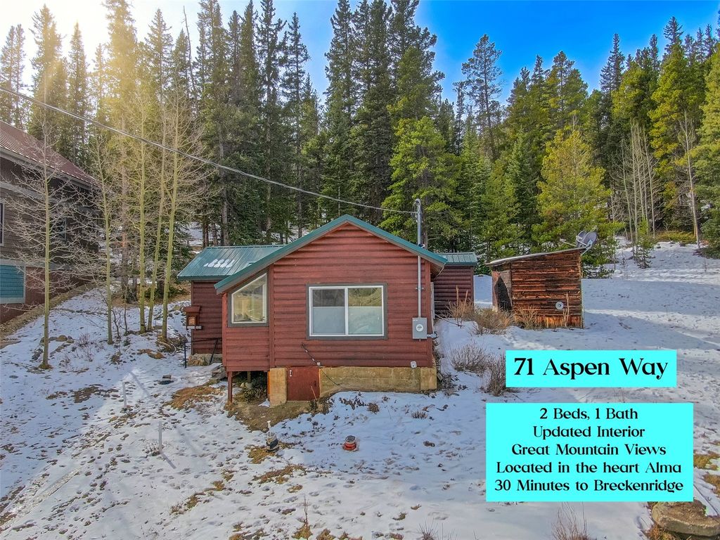 Photo of 71 Aspen Way, Alma, CO 80420 (MLS # S1066309)