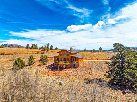Photo of 31 Buzzsaw Lane, Fairplay, CO 80440 (MLS # S1067992)