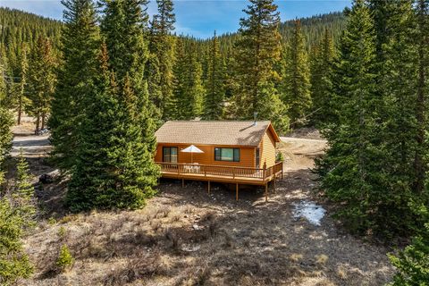 Photo of 235 Nuthatch Drive, Alma, CO 80420 (MLS # S1067973)