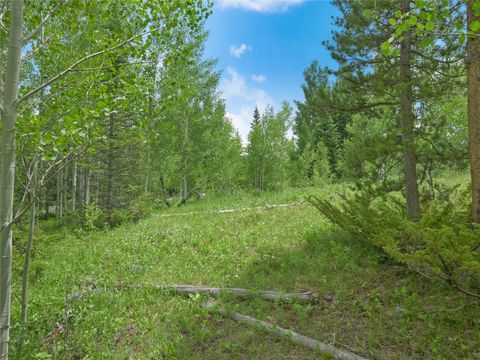 Photo of 616 Aspen Drive, Silverthorne, CO 80498 (MLS # S1068052)