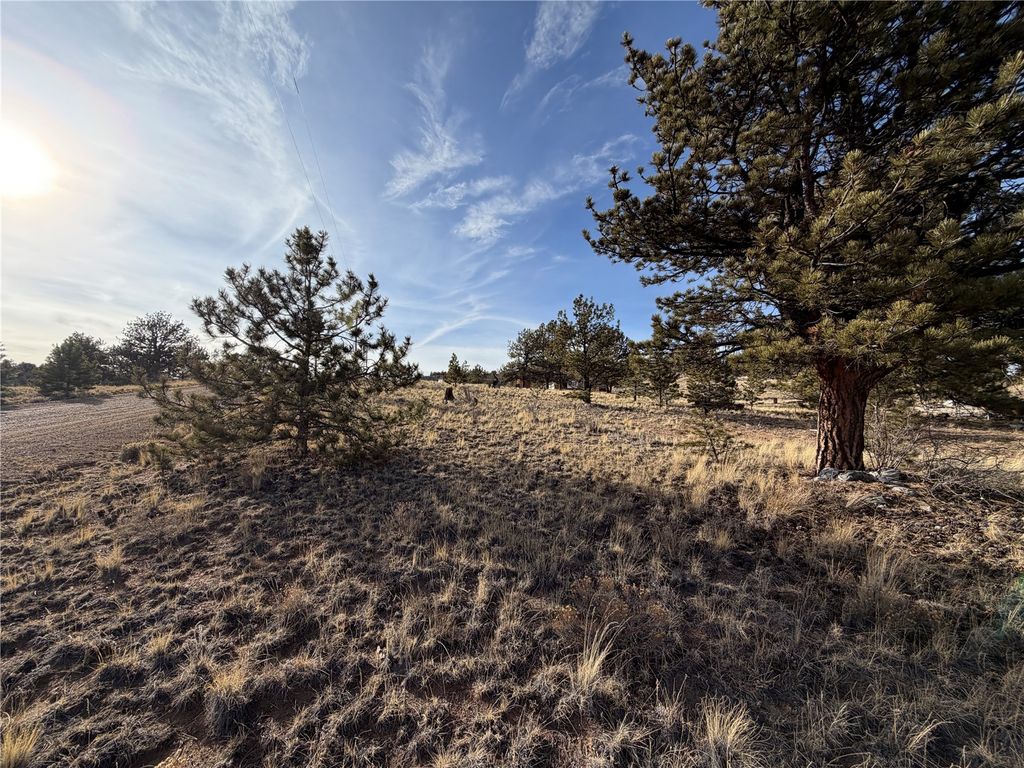 Photo of Mesa Avenue, Hartsel, CO 80449 (MLS # S1066393)