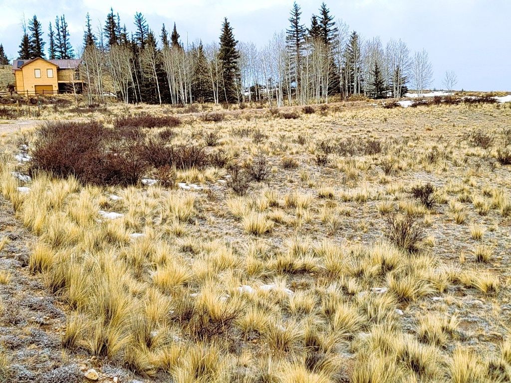 Photo of 53 Cobb Lane, Como, CO 80432 (MLS # S1065807)