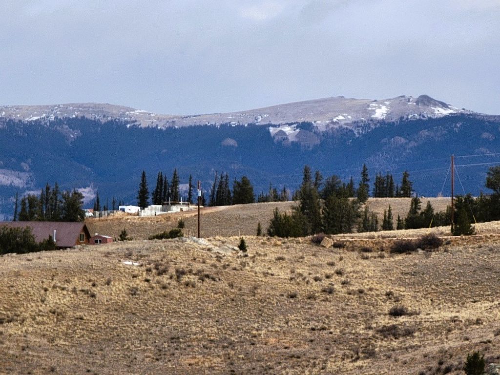 Photo of 53 Cobb Lane, Como, CO 80432 (MLS # S1065807)