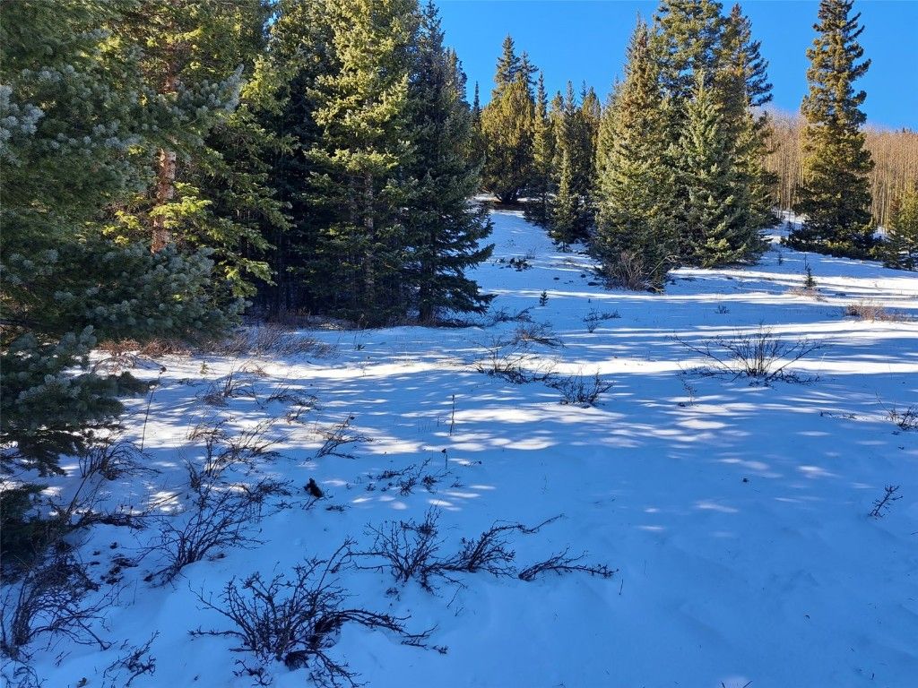 Photo of 3553 River Drive, Alma, CO 80420 (MLS # S1065641)