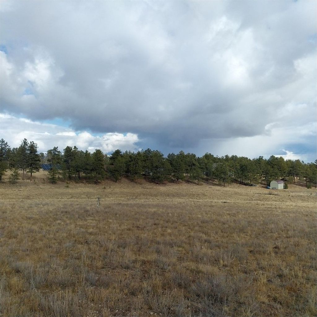 Photo of Singletree Road, Buena Vista, CO 81211 (MLS # S1064407)