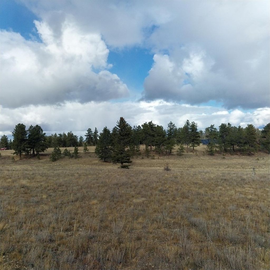 Photo of Singletree Road, Buena Vista, CO 81211 (MLS # S1064407)