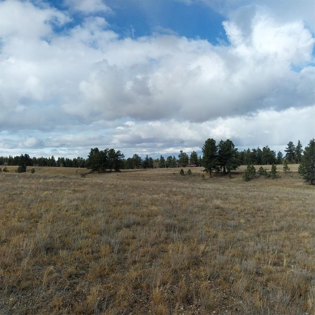 Photo of Singletree Road, Buena Vista, CO 81211 (MLS # S1064407)