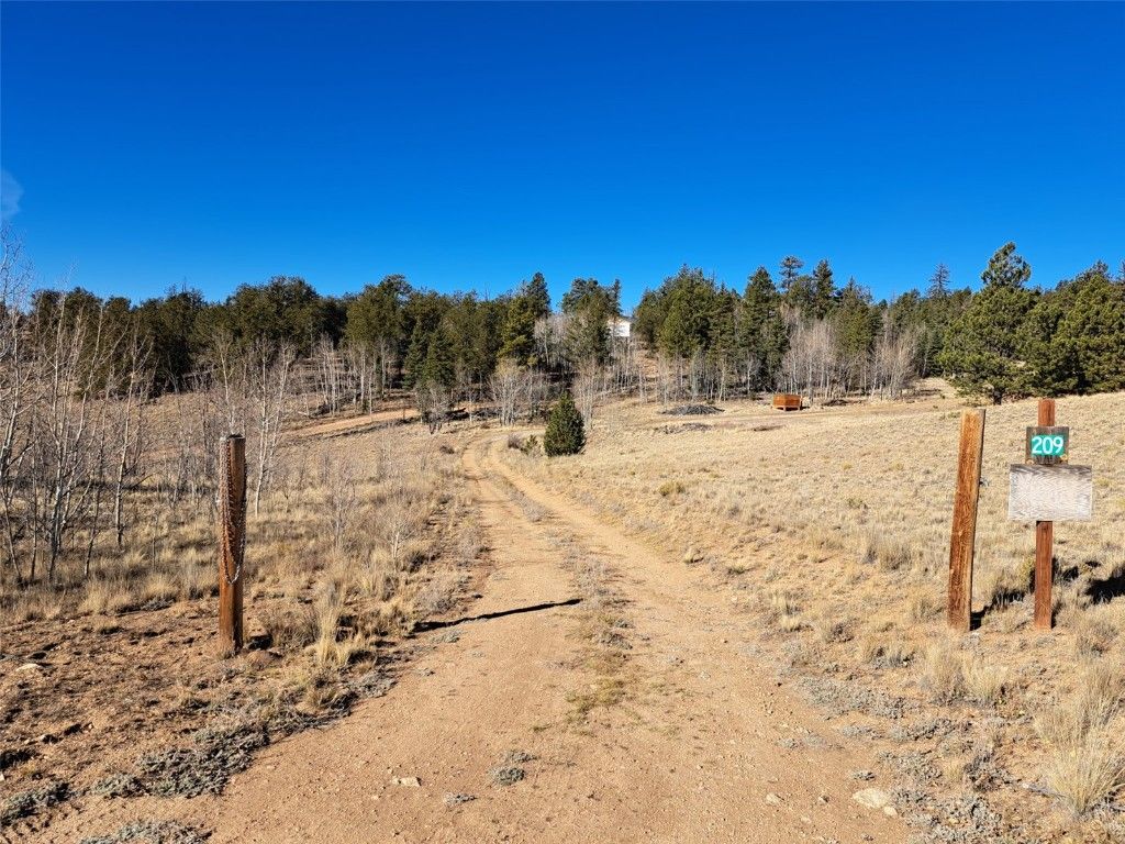 Photo of 209 Crooked Rock Path, Como, CO 80432 (MLS # S1064105)