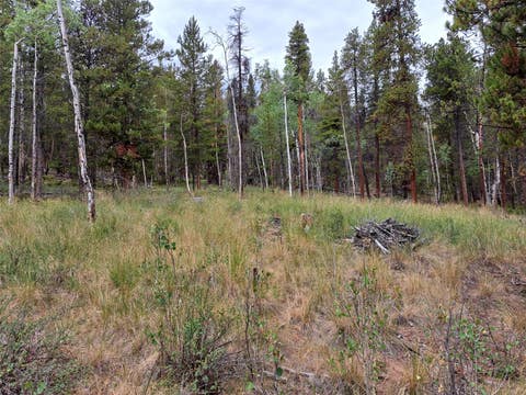 Photo of 1201 Beaver Creek Road, Fairplay, CO 80440 (MLS # S1070833)